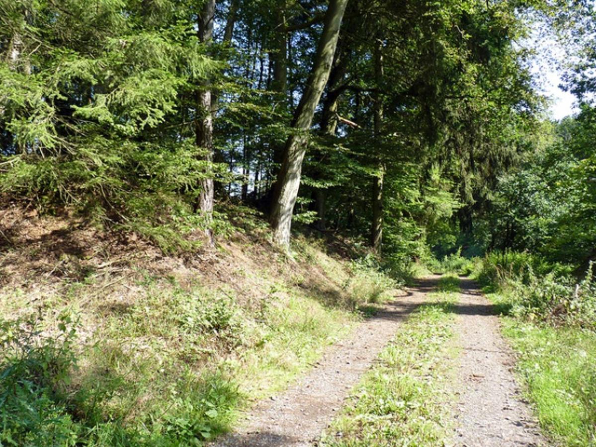 Ferienwohnung Jacobi Kurfuerst Naumburg Kültér fotó